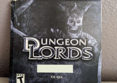 Dungeon Lords Original Artwork CD Case Front
