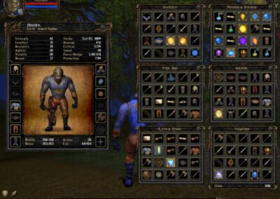 The division of items that seem to just be suggestions, as any item goes in any category