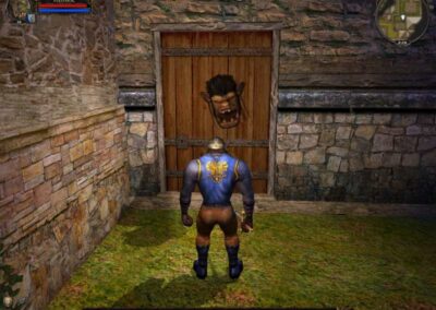 The ogre troll I set free and trapped with a city guard in a room so he could kill him for me