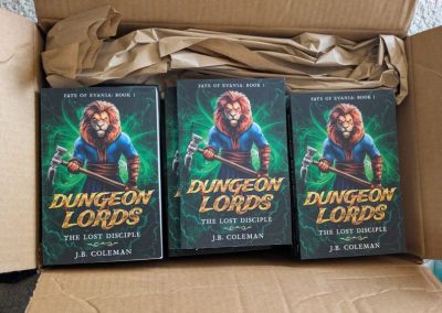 Copies of Dungeon Lords in a Box