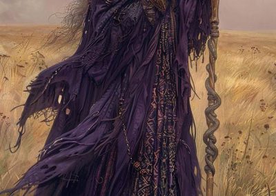 Dark robed mage holding serpent staff in windswept field